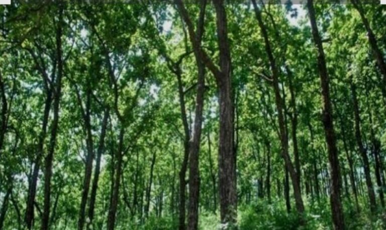 Screenshot_2025-09-05-08-14-31-06_680d03679600f7af0b4c700c6b270fe7