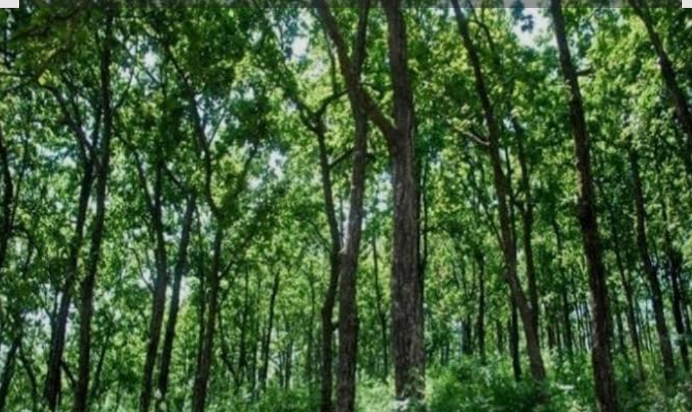 Screenshot_2025-09-05-08-14-31-06_680d03679600f7af0b4c700c6b270fe7