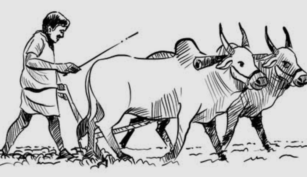 Screenshot_2025-09-18-13-40-36-25_680d03679600f7af0b4c700c6b270fe7