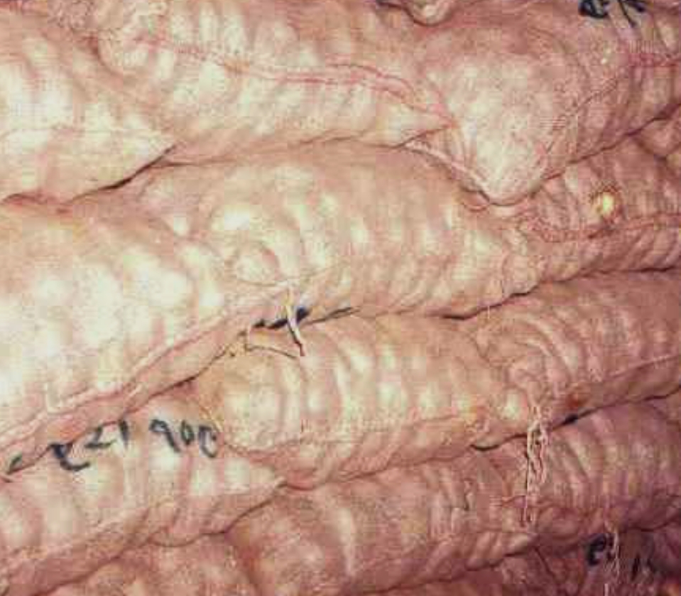 Screenshot_2025-09-29-07-30-25-25_680d03679600f7af0b4c700c6b270fe7