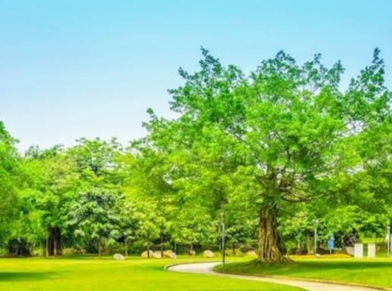 Screenshot_2025-11-10-11-30-45-83_b783bf344239542886fee7b48fa4b892