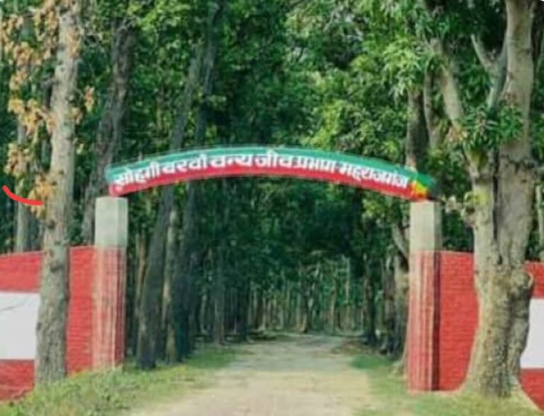 Screenshot_2025-11-12-11-50-56-99_680d03679600f7af0b4c700c6b270fe7