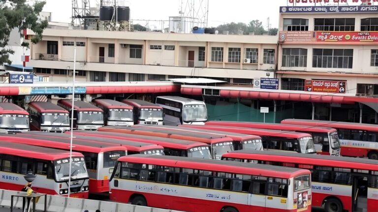 Untitled design - 2025-11-24T145719.335