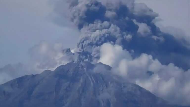 Untitled design - 2025-11-25T124834.381