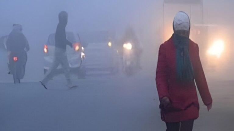 Untitled design - 2025-11-26T122528.544