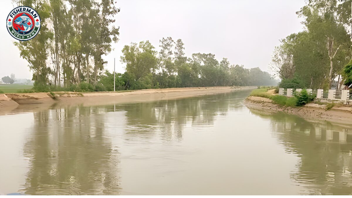 पोखरी में नहाते समय युवक डूबा