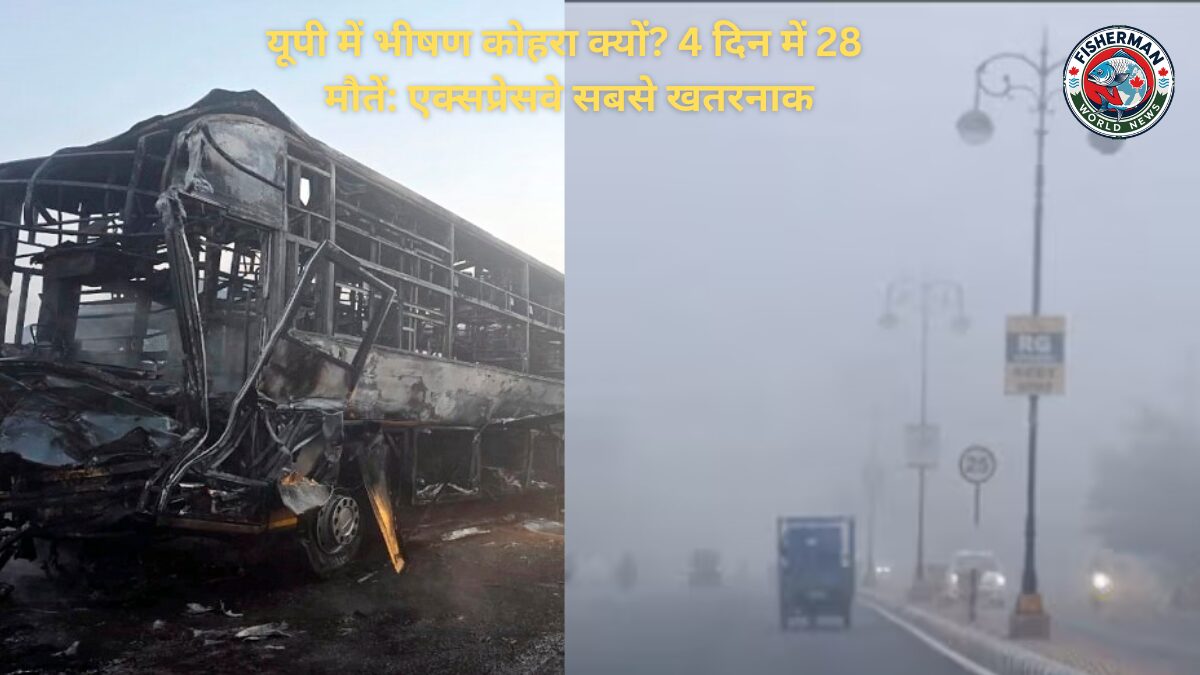 यूपी में भीषण कोहरा