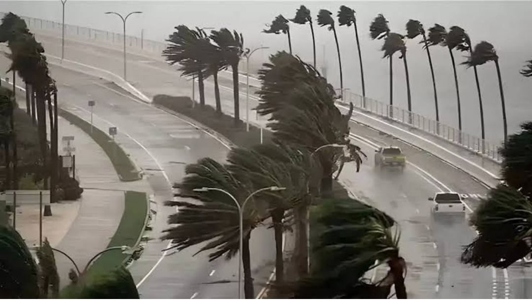 Screenshot_2025-12-24-05-54-27-33_b783bf344239542886fee7b48fa4b892