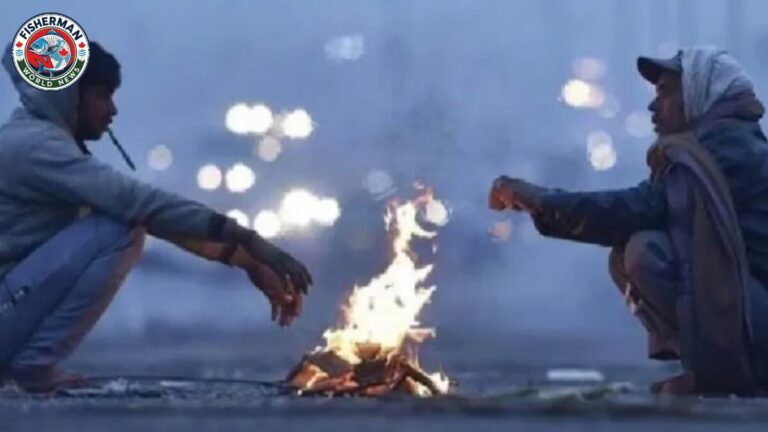 IMD ने 3 दिन कोहरे-शीतलहर का अलर्ट जारी किया