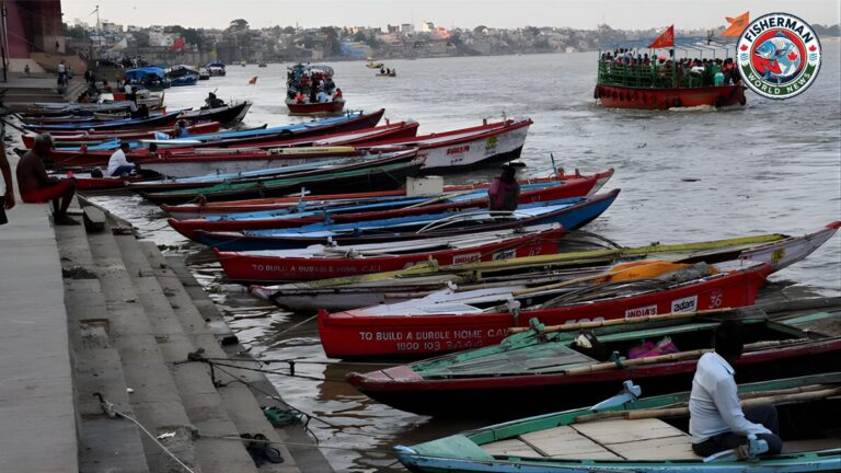 3000 से अधिक नावें संचालित