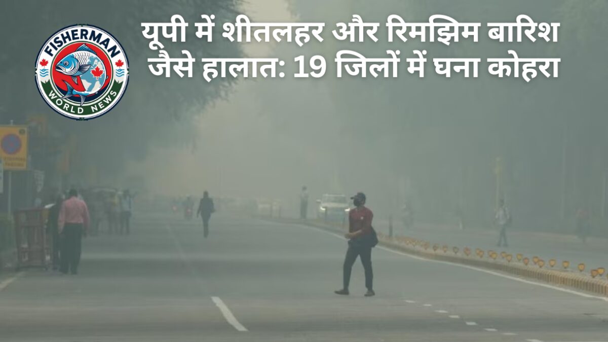 यूपी में शीतलहर और रिमझिम बारिश जैसे हालात: 19 जिलों में घना कोहरा