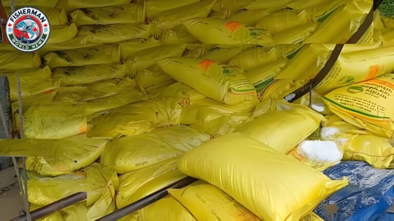 गोरखपुर में यूरिया की उपलब्धता पर्याप्त