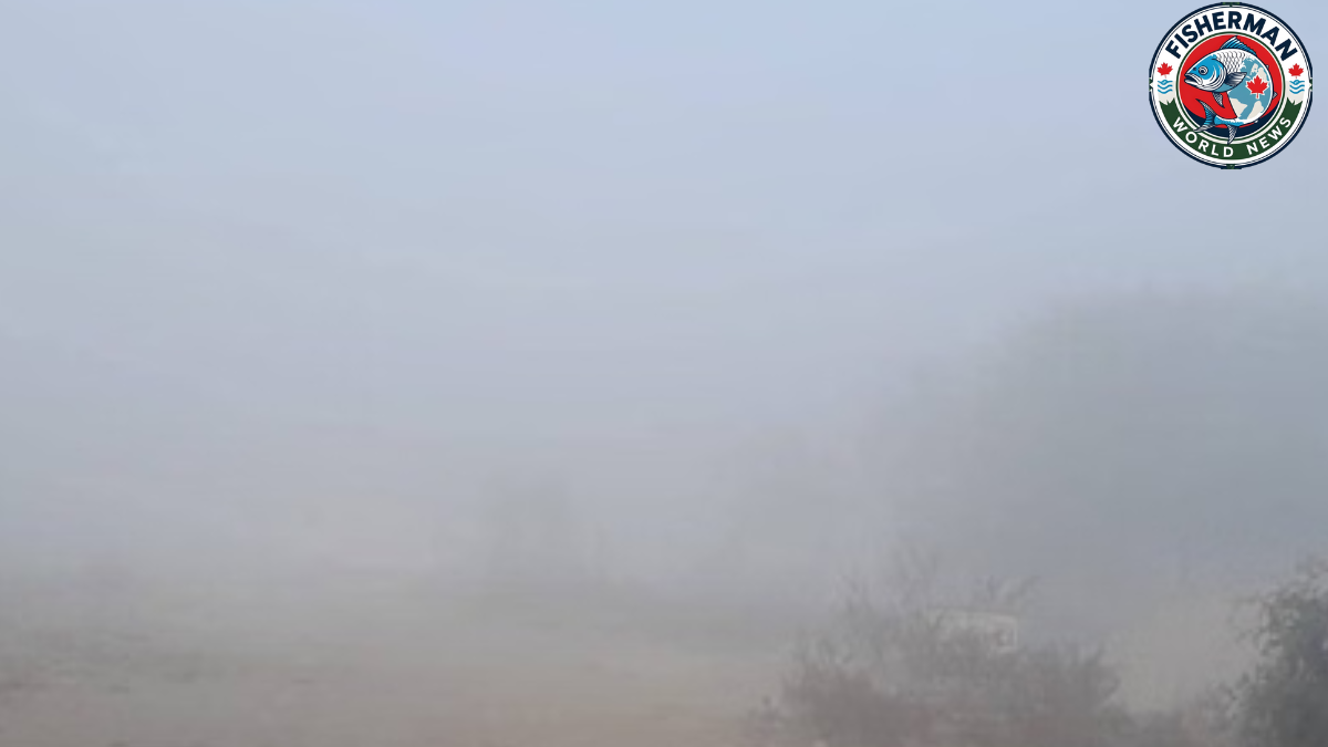 यूपी में प्रचंड सर्दी और कोहरे