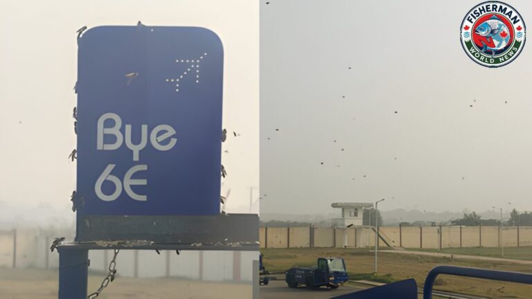 विमान में घुसीं मधुमक्खियां