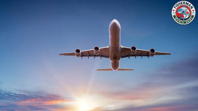 2026 पर फ्लाइट टिकट फुल