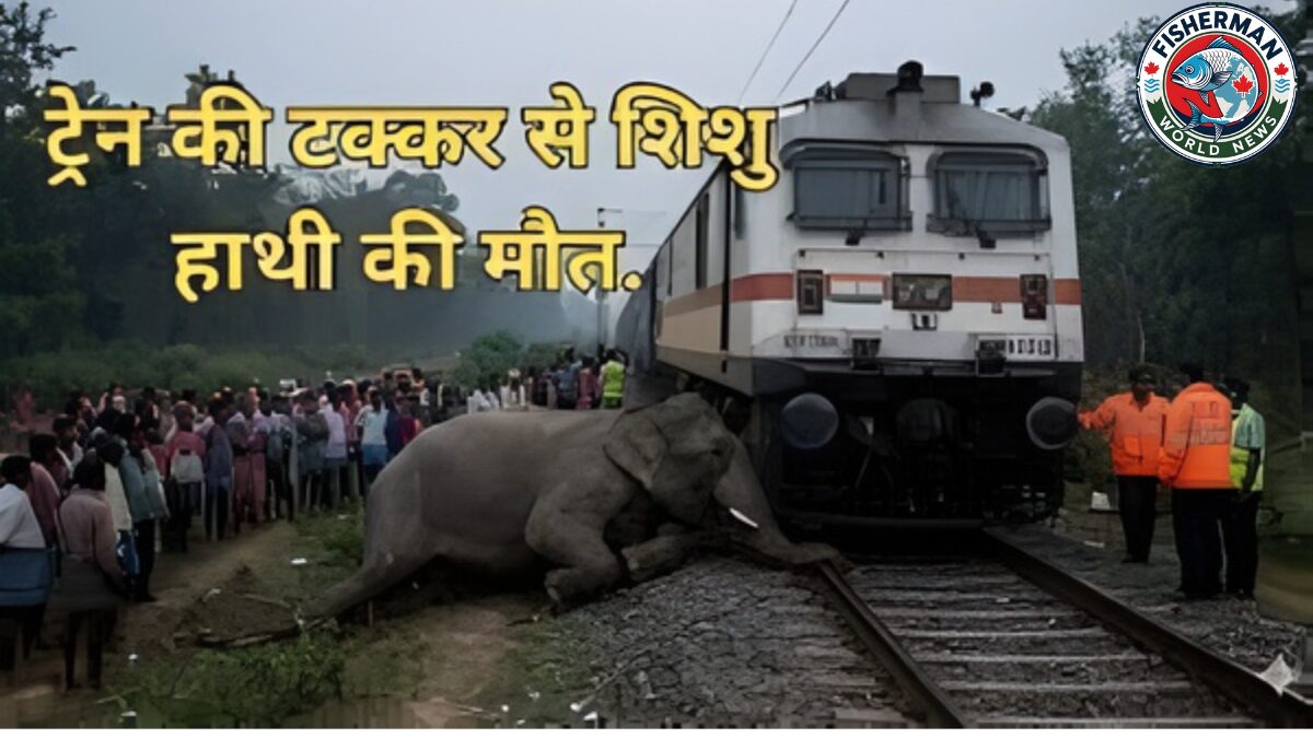 असम में बड़ा ट्रेन हादसा