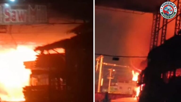 भोपाल के टिंबर मार्केट में भीषण आग