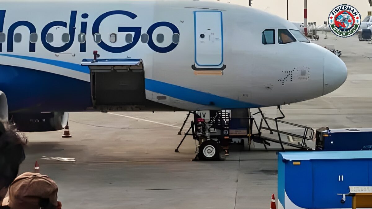 इंडिगो की 3 फ्लाइट्स अचानक कैंसल