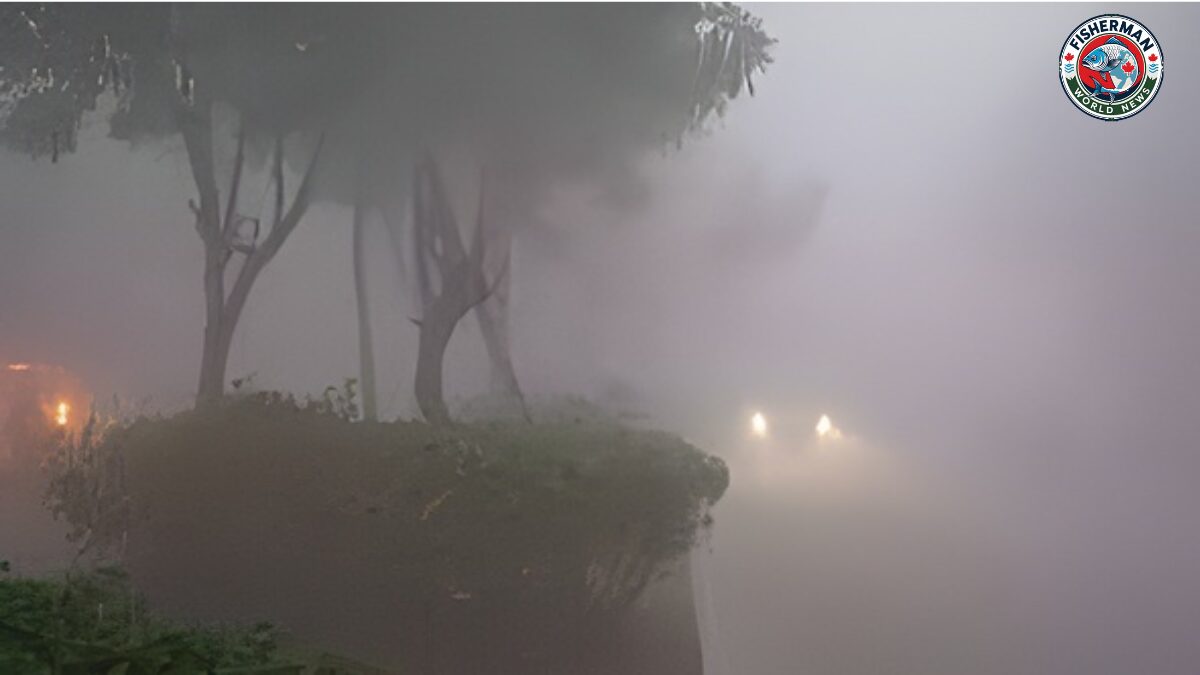 तापमान 9°C तक गिरा, 3 दिन और रहेगा