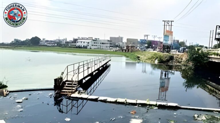 तालाब प्रदूषित, सफाई का दावा खोखला