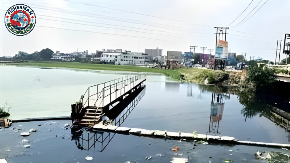 तालाब प्रदूषित, सफाई का दावा खोखला