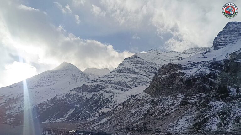 उत्तर भारत में शीतलहर का कहर