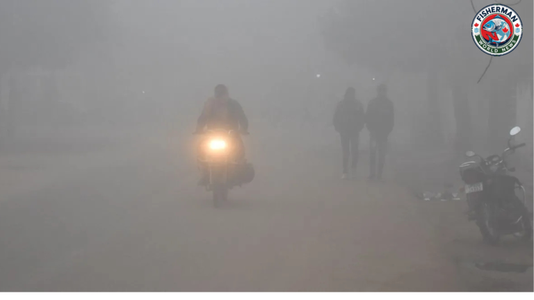 यूपी कोल्ड वेव