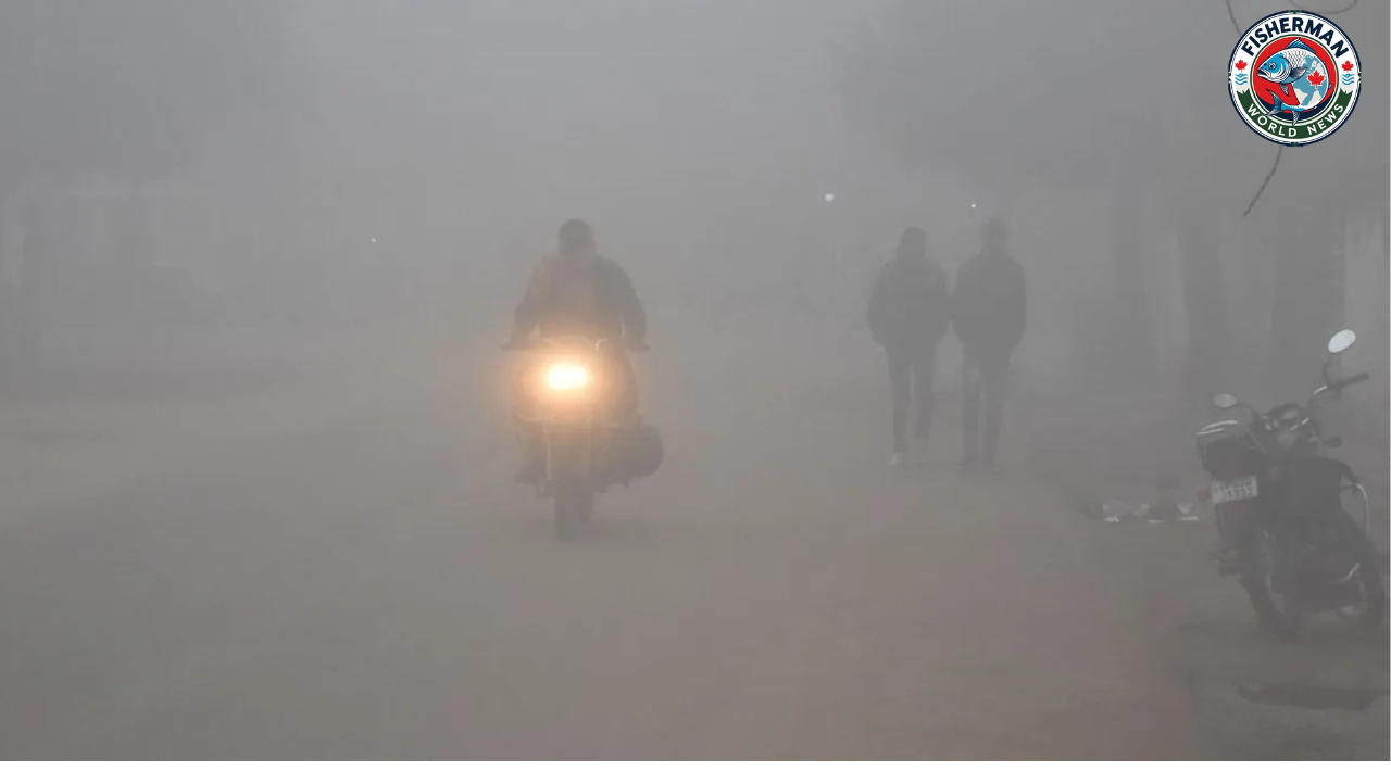 यूपी कोल्ड वेव