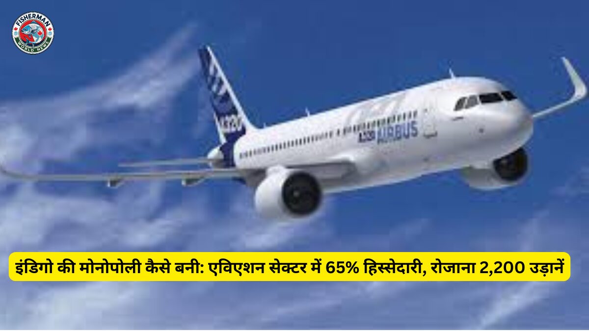 CCI जांच शुरू