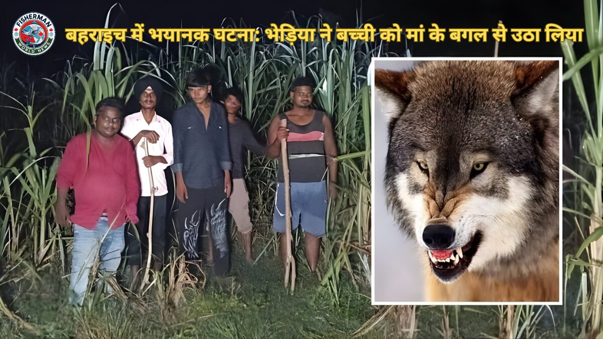 8 घंटे से लाठी लेकर तलाश रहे लोग