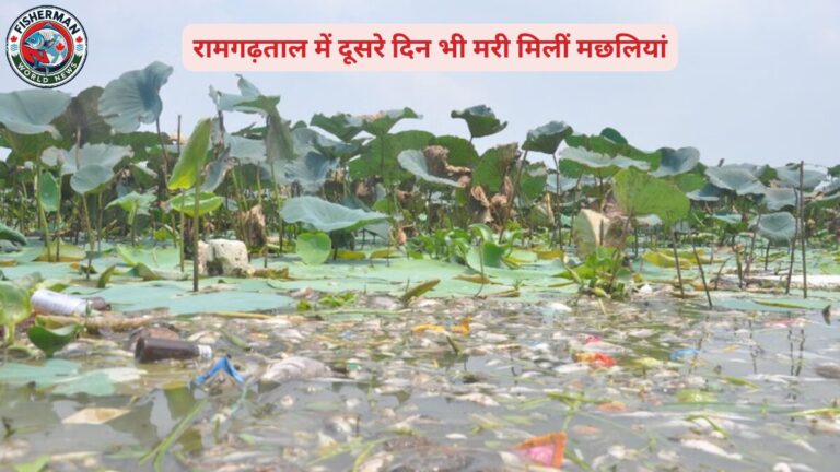 रामगढ़ताल में