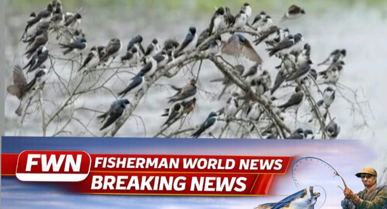 Screenshot_2026-01-05-10-11-18-04_726cd6915a5bbed5e00093b2e2a7609b