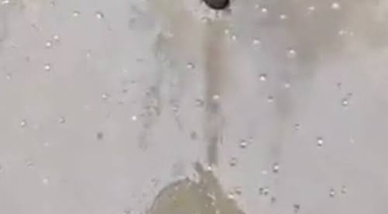 Screenshot_2026-01-09-17-48-37-25_b783bf344239542886fee7b48fa4b892