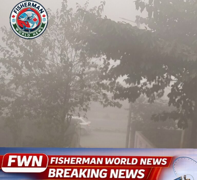 Screenshot_2026-01-11-09-56-28-29_726cd6915a5bbed5e00093b2e2a7609b