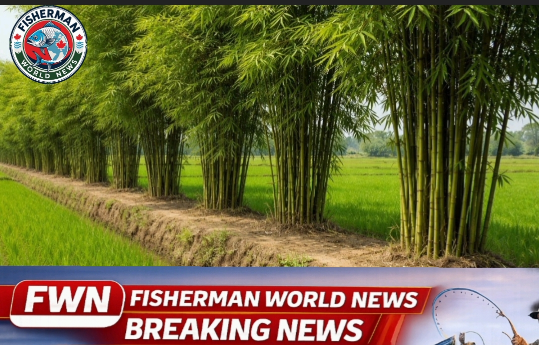 Screenshot_2026-01-15-07-45-09-46_726cd6915a5bbed5e00093b2e2a7609b