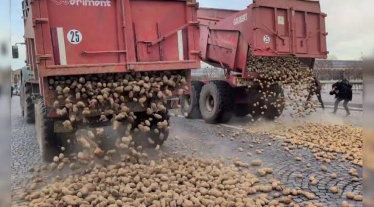 Screenshot_2026-01-16-07-19-15-59_b783bf344239542886fee7b48fa4b892