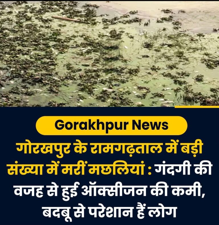 Screenshot_2026-01-17-20-52-14-03_6012fa4d4ddec268fc5c7112cbb265e7