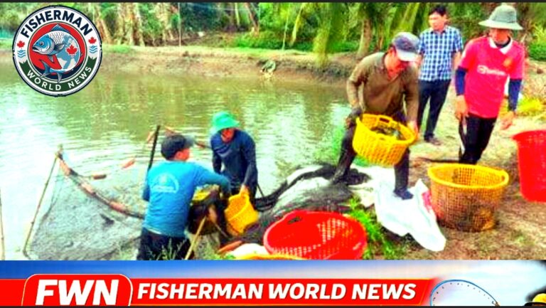 Screenshot_2026-01-23-09-12-34-92_726cd6915a5bbed5e00093b2e2a7609b