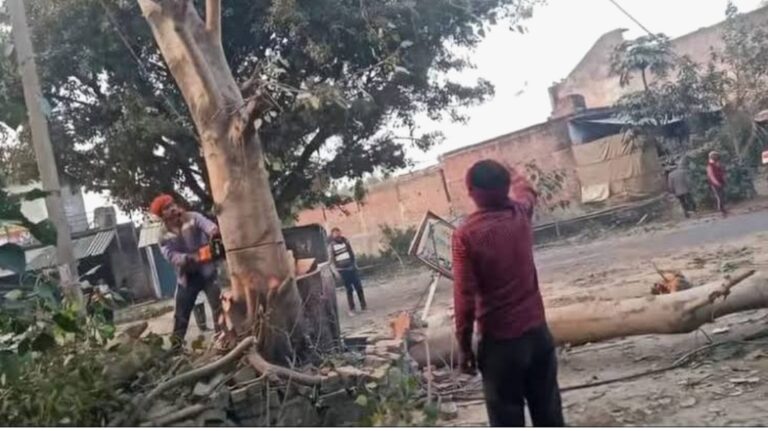 Screenshot_2026-01-24-05-53-58-90_b783bf344239542886fee7b48fa4b892