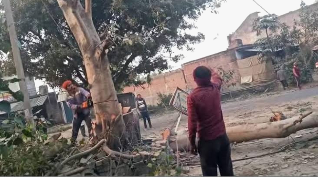 Screenshot_2026-01-24-05-53-58-90_b783bf344239542886fee7b48fa4b892