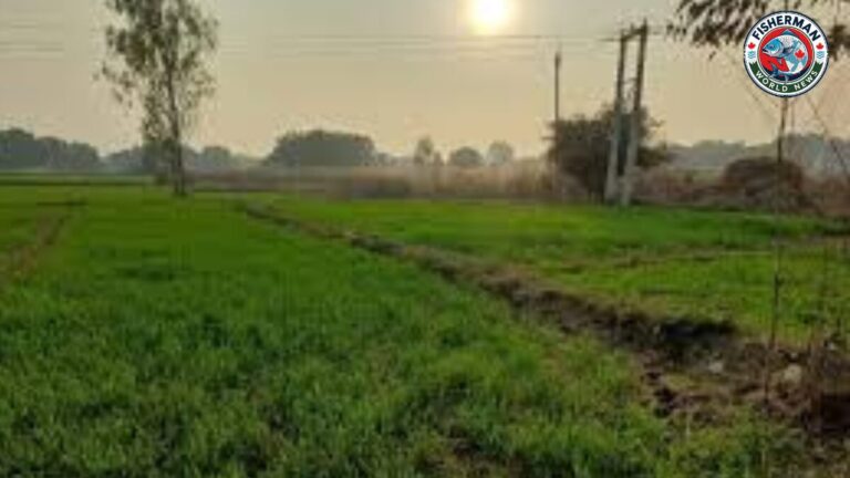 गोरखपुर-सिलीगुड़ी एक्सप्रेसवे