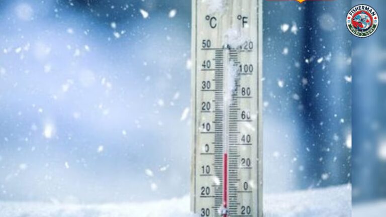 गोरखपुर में