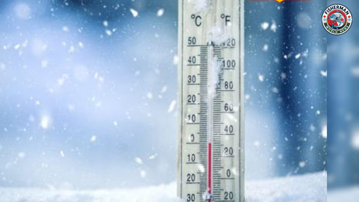 गोरखपुर में