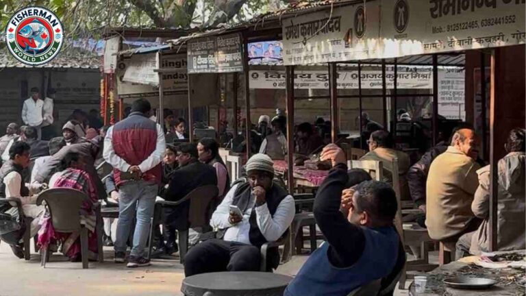 गोरखपुर में उत्तर प्रदेश बार काउंसिल चुनाव