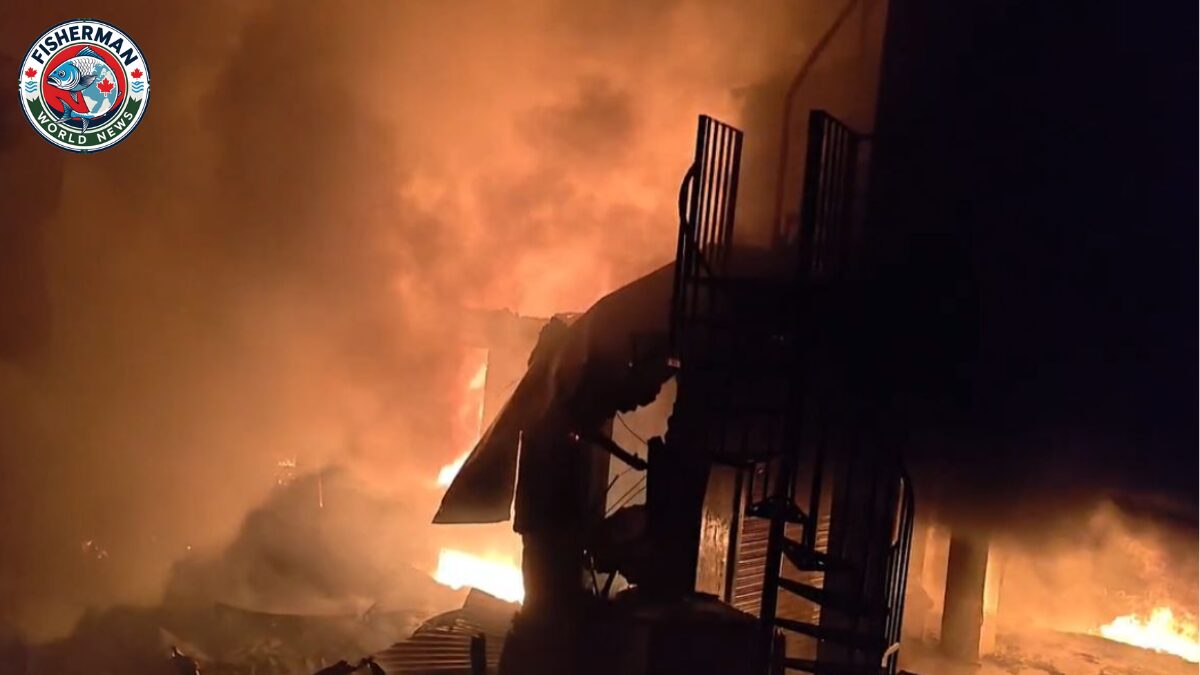 अर्की बाजार में भीषण आग