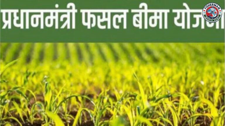 बरेली में फसल बीमा