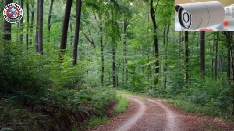 गोरखपुर के कुसम्ही जंगल