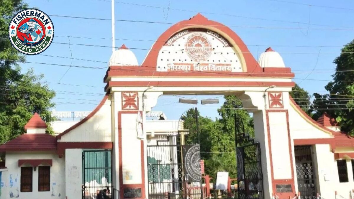 गोरखपुर विश्वविद्यालय विवाद
