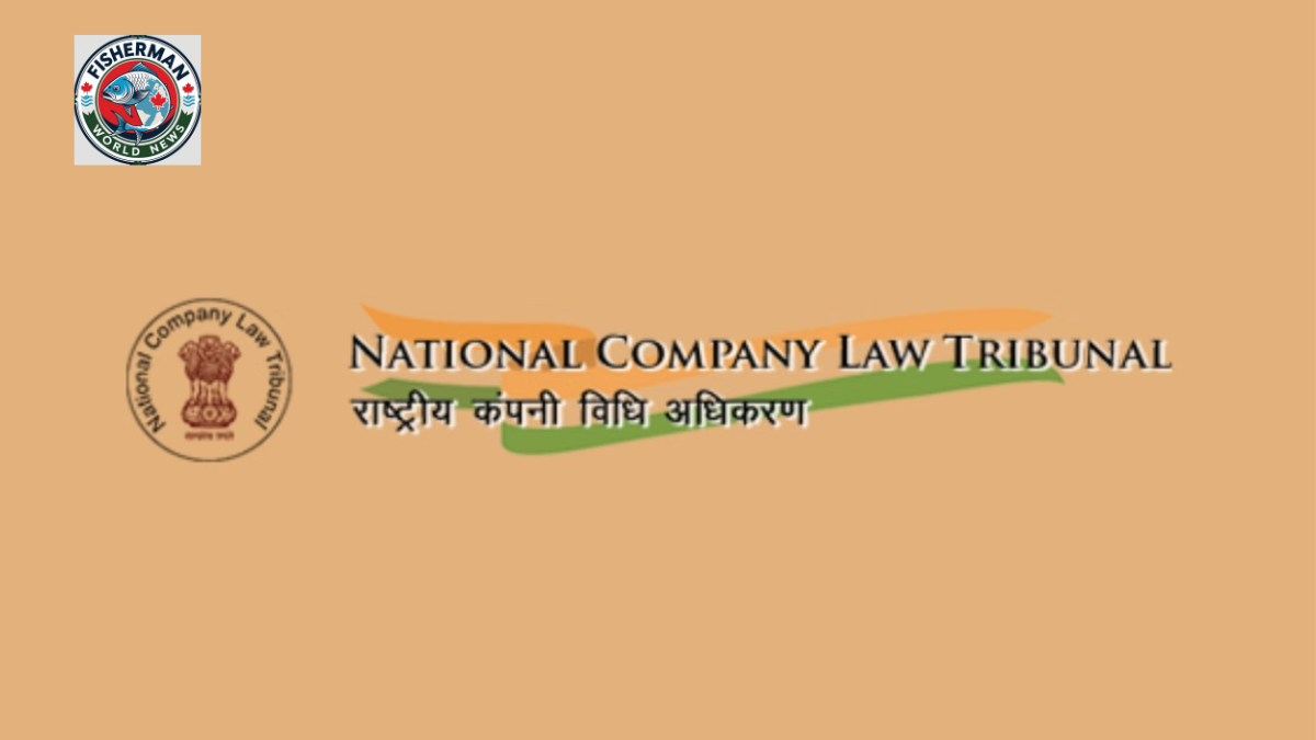 Union Budget 2026 से पहले IBC में सुधार