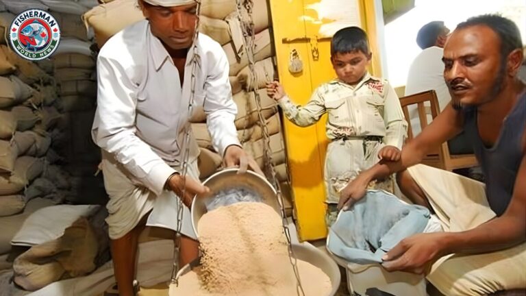 बरेली मंडल के राशनकार्ड